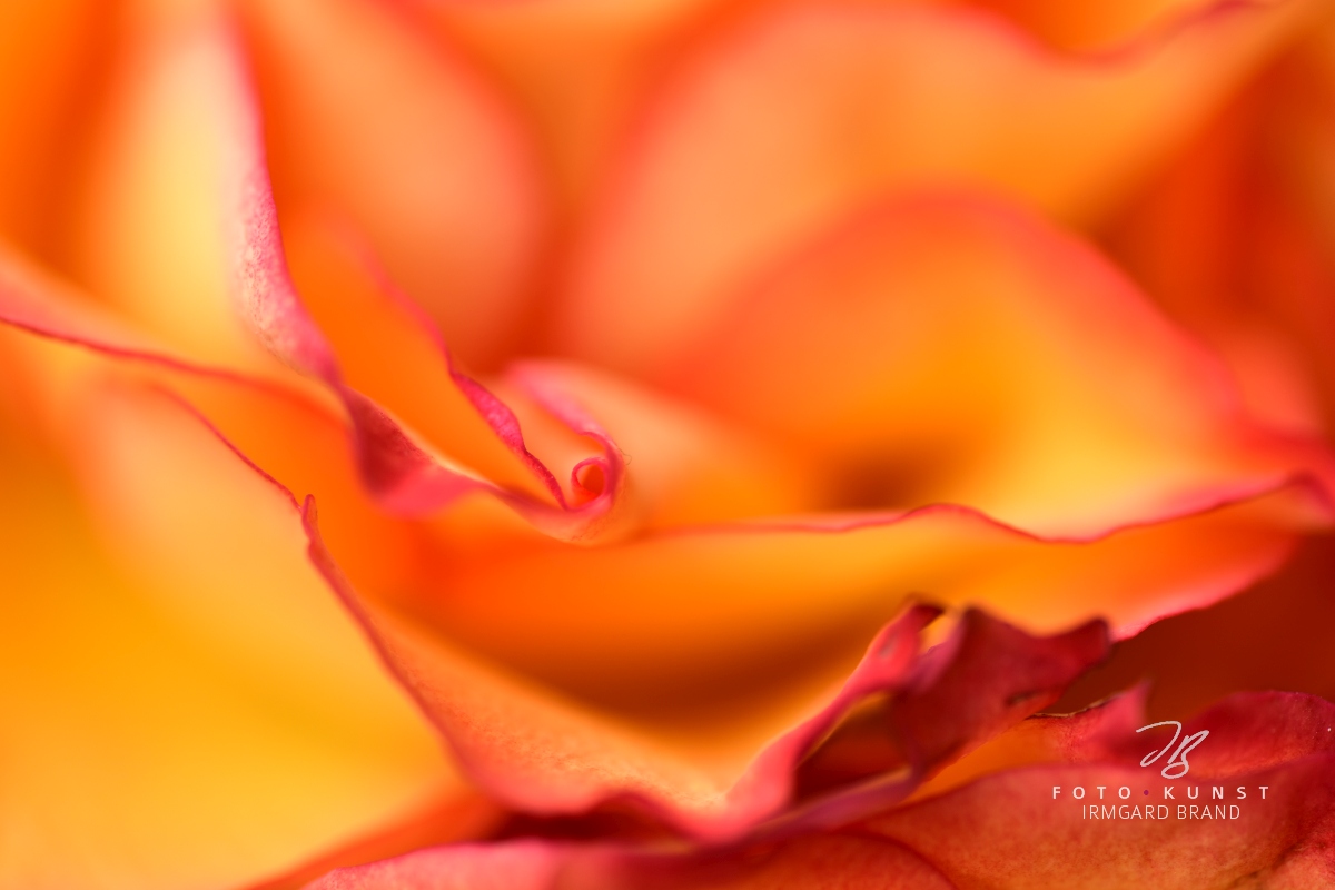 Psychotherapie / Supervision